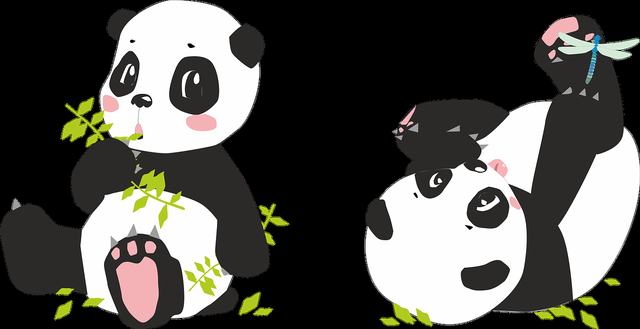 可选消费行业家电中期策略:科技成长×红利压舱