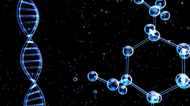 R星每日大赛-每日大赛聚集地在线,每截图
