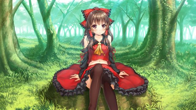 14版 -  橄榄古树正茁壮（和古树做朋友）