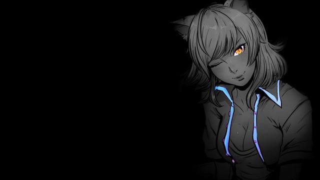 51cg011
