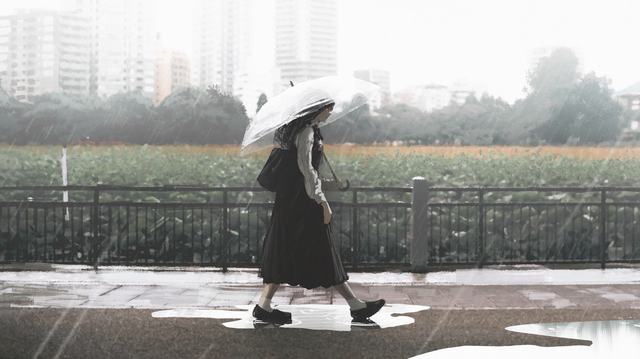 由“娇龙”月季想到的（评论员观察）