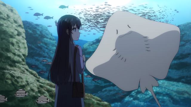10版 -  本版责编：季健明  徐雷鹏  迟嘉瑞